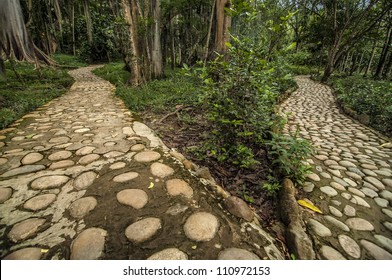 An image of two diverging paths in a forest.