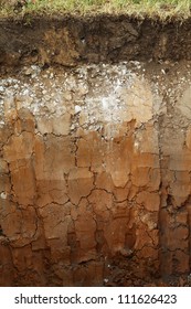 Image Of Underground Soil Layers