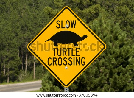 Image of unique turtle road crossing sign.