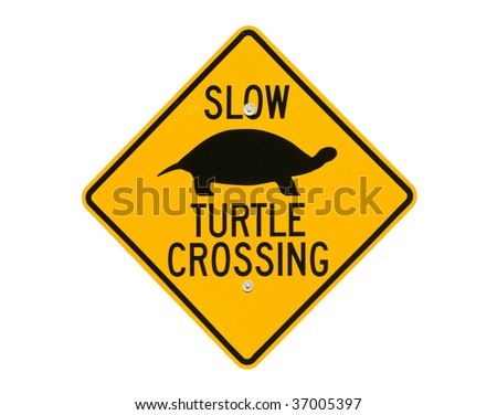 Image of unique turtle road crossing sign isolated on white back ground.