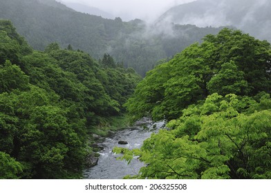 An Image of Valley