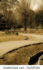 An Image of Walking Road