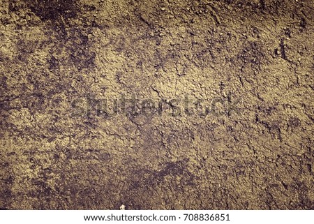 The image of the wall, for use as a background.