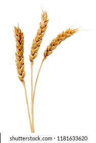 image of wheat on white background - Shutterstock ID 1181633620
