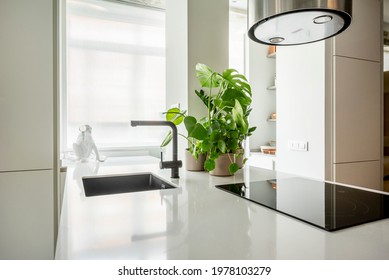 Image of a white kitchen countertop with a black ceramic hob and sink and a plant in the background.