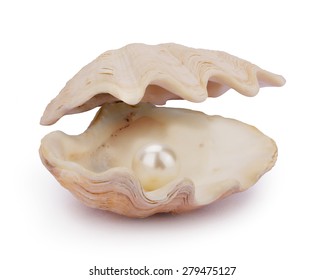 Image of a white pearl ball in a Open oyster shell isolated on white. This has clipping path. 