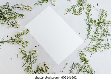 The image of white rectangle frame  with white flowers and branches isolated on white background. flat lay, top view
