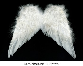 Image of white wings over black background