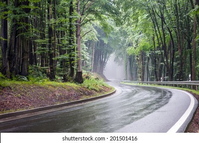 Image of a winding road through a forest