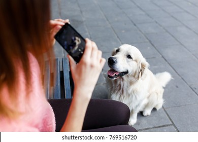 Image Of Woman On Bench Photographing Dog