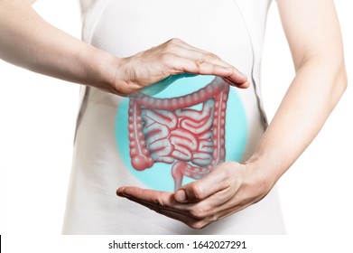 Image of a woman in a white dress and 3d model of the bowel between her hands. Concept of healthy bowel.