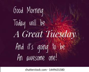 1000 Good Morning Tuesday Stock Images Photos Vectors