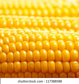 Image of yellow corn background, healthy organic food, bio nutrition, fresh ripe vegetable, maize cob, golden textured wallpaper, autumn harvest season, vegetarian eating and diet concept - Powered by Shutterstock