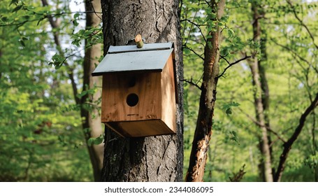 The image you sent me shows a birdhouse sitting on top of a tree. There is no name for this specific birdhouse