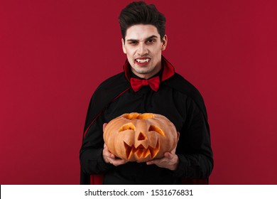 Image Of Young Vampire Man With Fangs In Black Halloween Costume Holding Carved Pumpkin Isolated Over Red Wall