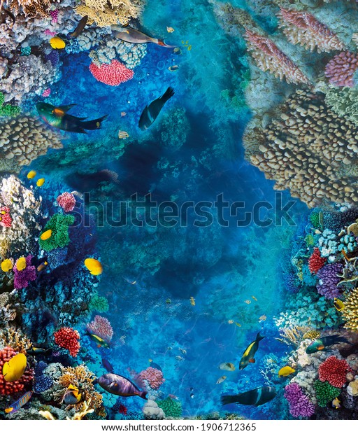 Images for 3d floors. Underwater world. Corals.\
Fish. Depth . Top view