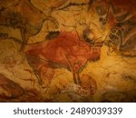 Images of the Altamira cave (Cantabria-Spain)