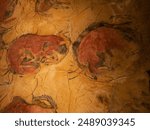 Images of the Altamira cave (Cantabria-Spain)