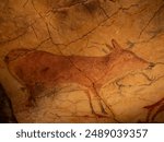 Images of the Altamira cave (Cantabria-Spain)