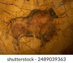 Images of the Altamira cave (Cantabria-Spain)