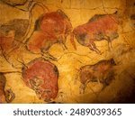 Images of the Altamira cave (Cantabria-Spain)