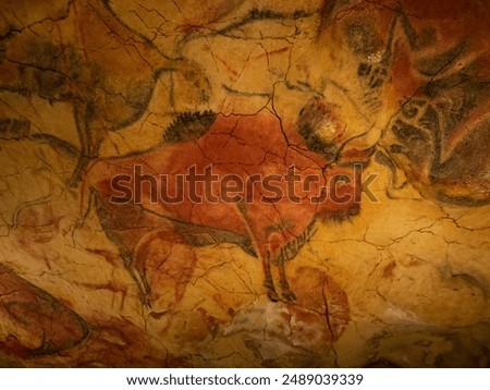 Images of the Altamira cave (Cantabria-Spain)