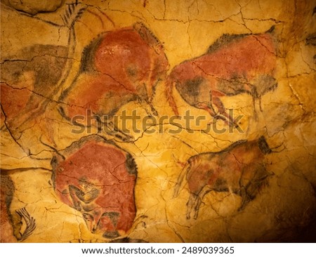 Images of the Altamira cave (Cantabria-Spain)