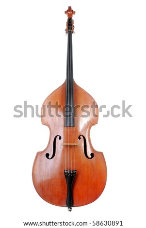 Images of the classical contrabass. Isolated on white background