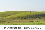 Images from the interior of the city of Jaguari, RS, Brazil. Rural landscapes of the city located in the southern central region, almost border with Argentina.