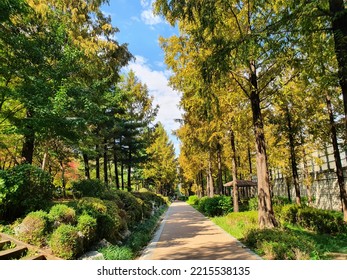 Images Of Riverside Park Located In Seoul, Korea