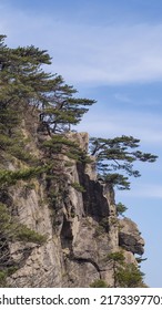 The Images Of Spring In Huangshan Scenic Area, Anhui, Mainland China