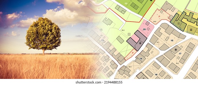 Imaginary General Urban Plan with urban destinations roads, buildable areas, land plot and lone tree on a rural scene - note: the map is totally invented and does not represent any real place - Shutterstock ID 2194488155