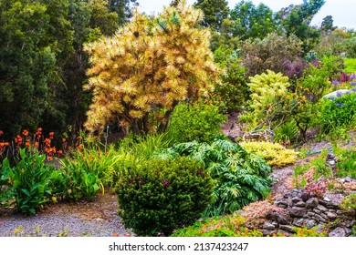 Imaginative Garden In Kula, Maui, HI