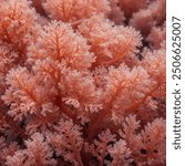 Imagine a soft coral pink gradient, like the gentle blush of dawn spreading across the sky. It starts with a delicate, creamy pink at the top, gradually melding into a richer coral hue toward.