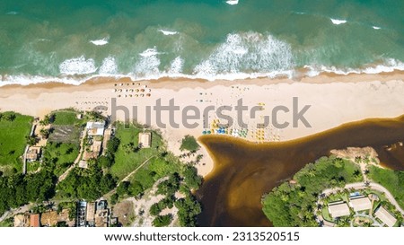 Imbassai Beach, Bahia. Aerial view of nature and sea.