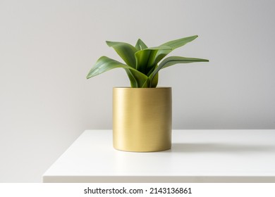 Imitation Flowers In A Metal Flower Pot On The Table