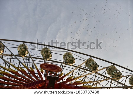 The immigration of birds above colourful ferris wheel at Youth Park in Ankara