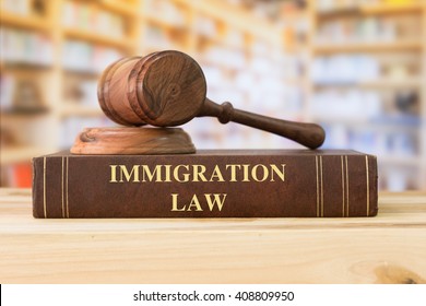 Immigration Law books with a judges gavel on desk in the library. Legal education concept.  - Shutterstock ID 408809950