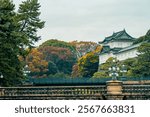 Imperial palace - Tokyo Photograph of the Tokyo Imperial Palace and the Seimon Ishibashi bridge, Bridge leads to the main gate of Tokyo Imperial Palace. It is known as the Eyeglasses Bridge, Travel.