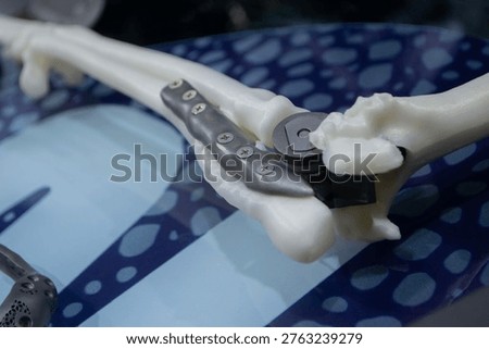 Implants and prostheses printed on 3D printer from biocompatible titanium powder. Patient-specific total endoprosthesis of elbow joint for dog on bones printed on 3D printer from plastic. Medical