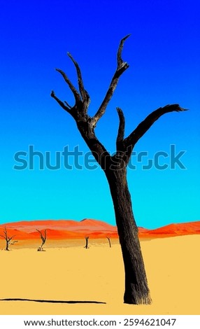 Imploration in the Namib Desert