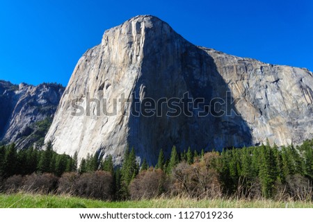 Similar – Image, Stock Photo Yosemite National Park Overlooking the Half Dome