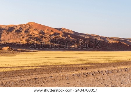 Impression of the massive sanddunes that comprise the Sossusvlei of western Namibia