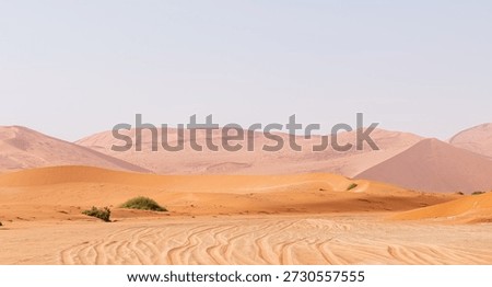 Impression of the massive sanddunes that comprise the Sossusvlei of western Namibia