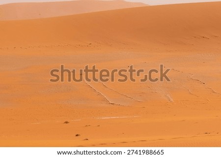 Impression of the massive sanddunes that comprise the Sossusvlei of western Namibia