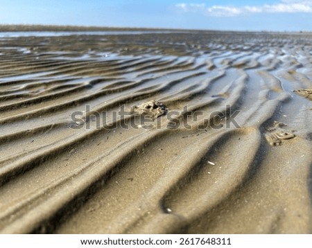 Impression in the mudflats off Fanö in Denmark 