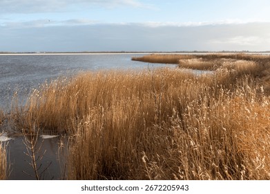 Impression of a sunset on a relatively cold frosty winter evening in the dutch province of Friesland. The image is from near the town of lemmer and the classic steam-driven water pump woudagemaal.
