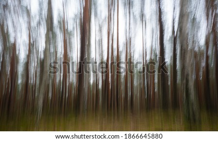 Impressionist forest using intentional camera movement technique with long exposure, abstract image captured in the ancient forest of Kampinos north of Warsaw in Poland. 