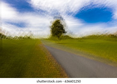 Impressionistic painterly view of Lone Tree and curved road/driveway in rural Virginia, October 26, 2016