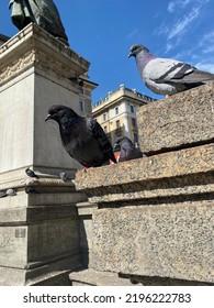 Impressions Of Spring In Milan